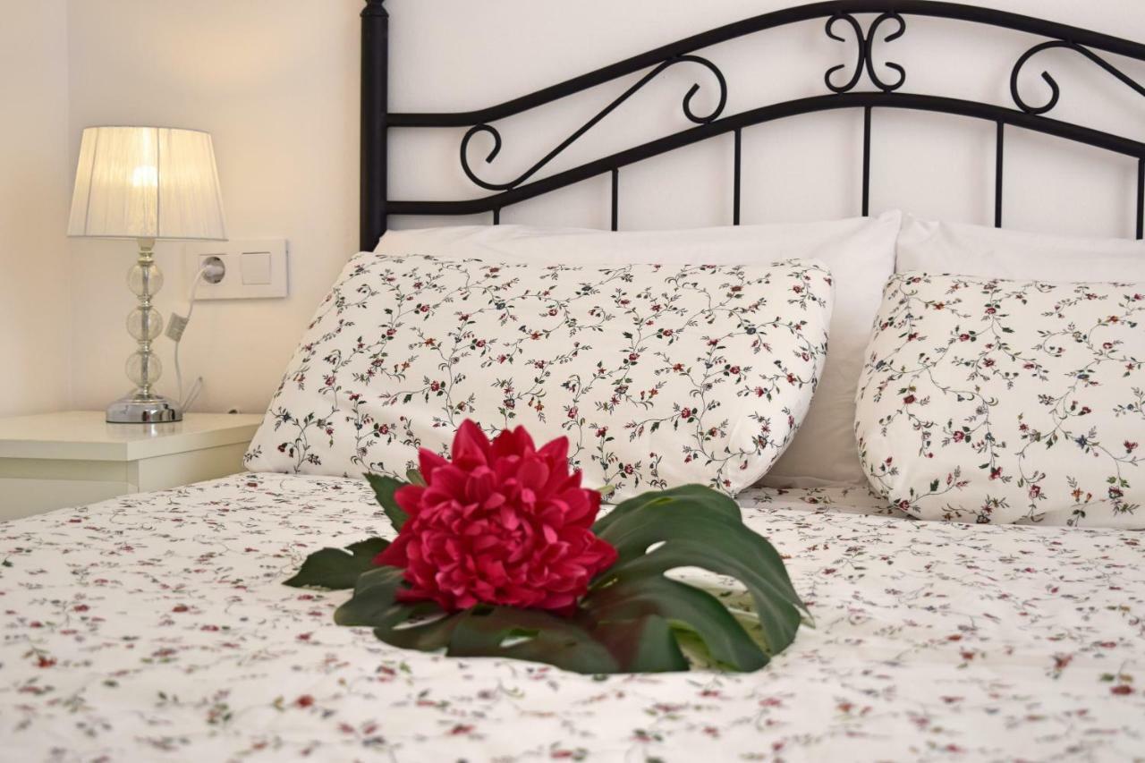 Apartamento Cister Old Town Málaga Dış mekan fotoğraf