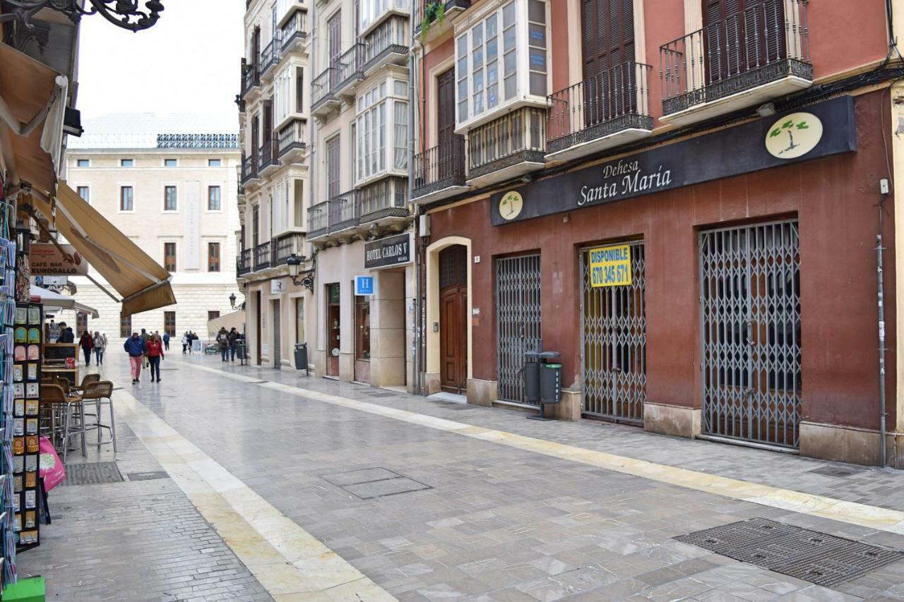Apartamento Cister Old Town Málaga Dış mekan fotoğraf
